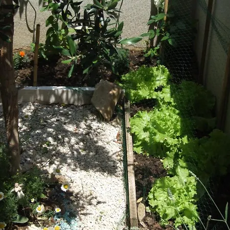 Appartement Studio Apartman Marita *