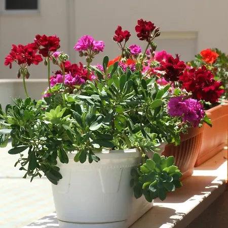 Studio Apartman Marita Appartement Split