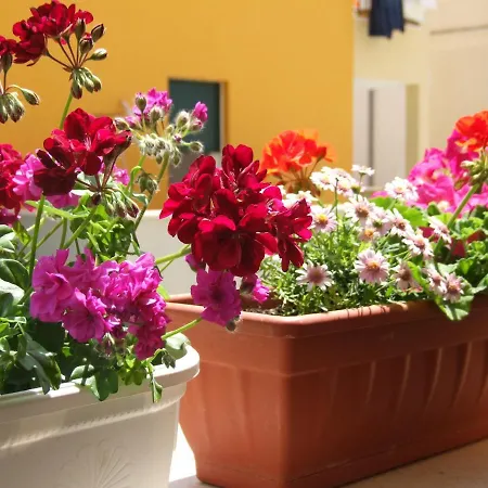 Studio Apartman Marita Appartement Split