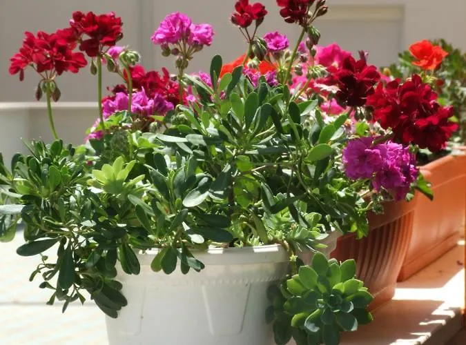 Studio Apartman Marita 아파트 스플리트