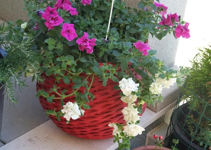 Studio Apartman Marita