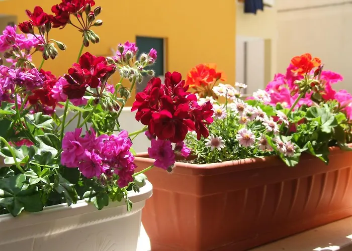 Studio Apartman Marita 아파트 스플리트